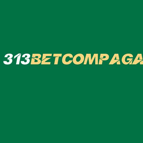 Logo da 313BETCOMPAGA